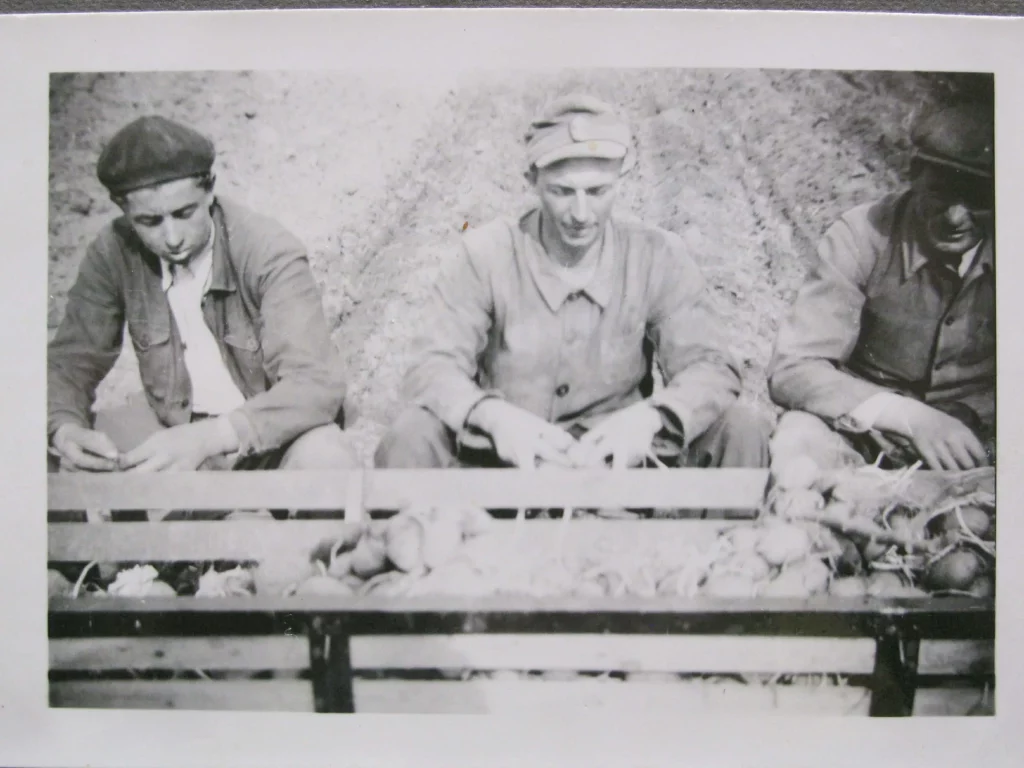 Prisonniers allemands (1945) dans une ferme de Germaine